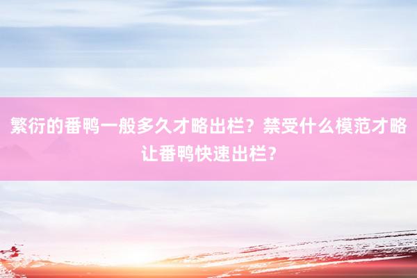 繁衍的番鸭一般多久才略出栏?禁受什么模范才略让番鸭快速出栏?