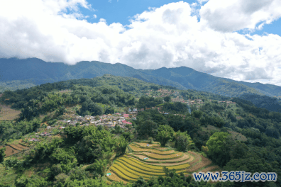 图：贺岭村全貌